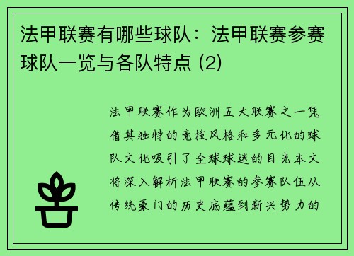 法甲联赛有哪些球队：法甲联赛参赛球队一览与各队特点 (2)